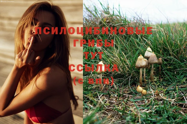 эйфоретик Балабаново