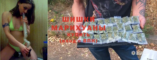 ГАЛЛЮЦИНОГЕННЫЕ ГРИБЫ Баксан