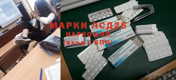 ГАЛЛЮЦИНОГЕННЫЕ ГРИБЫ Баксан