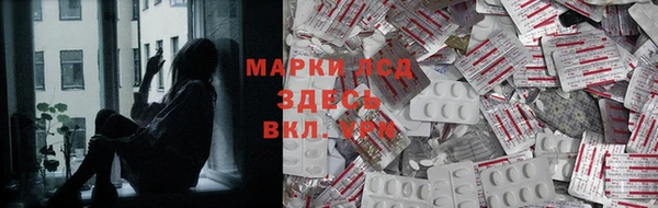 ГАЛЛЮЦИНОГЕННЫЕ ГРИБЫ Баксан